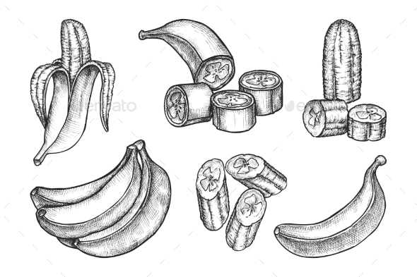 Set of Isolated Sketches of Bananas
