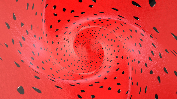 Inside a Watermelon Fruit, Background, Loop