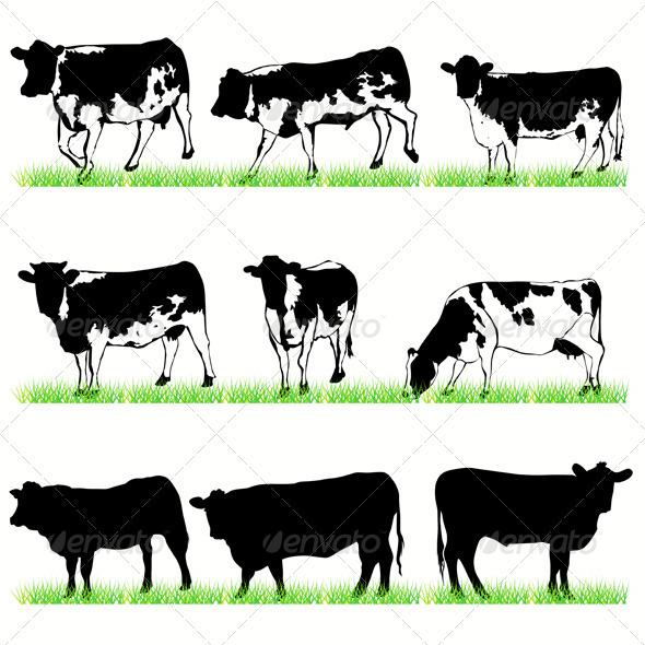 Cows and Bulls Silhouettes Set - Animals Characters