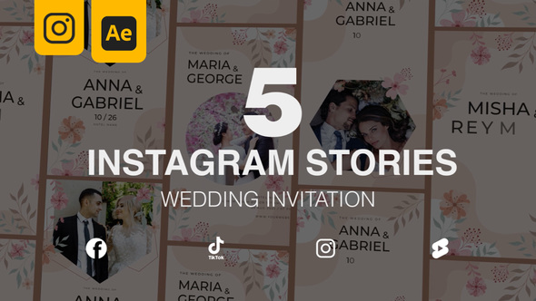 Wedding Invitation Instagram Stories 5 in 1