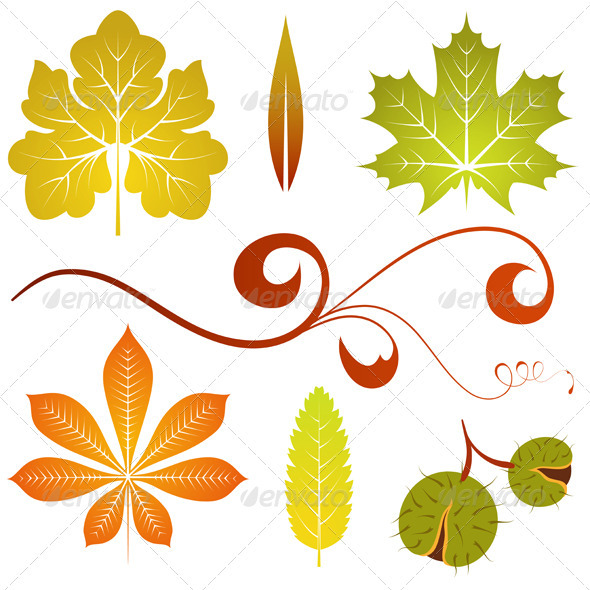 Autumn leaves