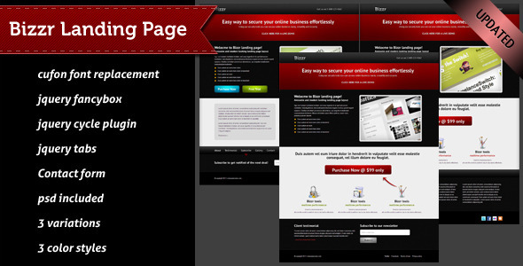 Bizzr Landing Page - ThemeForest 233025