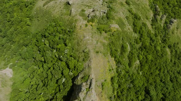Rocky ruins of the Azeula Fortress and a wild, vibrant forest around it. alt