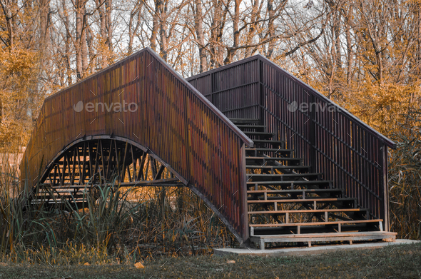 Small bridge in a tranquil forest setting, featuring a sense of