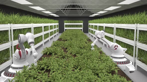 Artificial intelligence grows fresh herbs and vegetables.