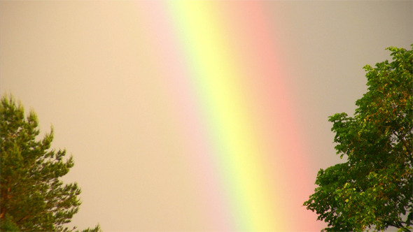 Rainbow Phenomenon