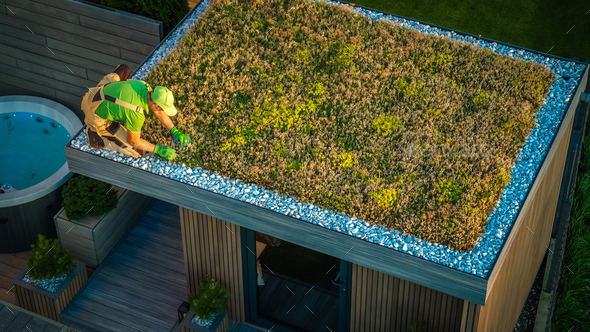Caucasian Man Taking Care of a Living Roof.