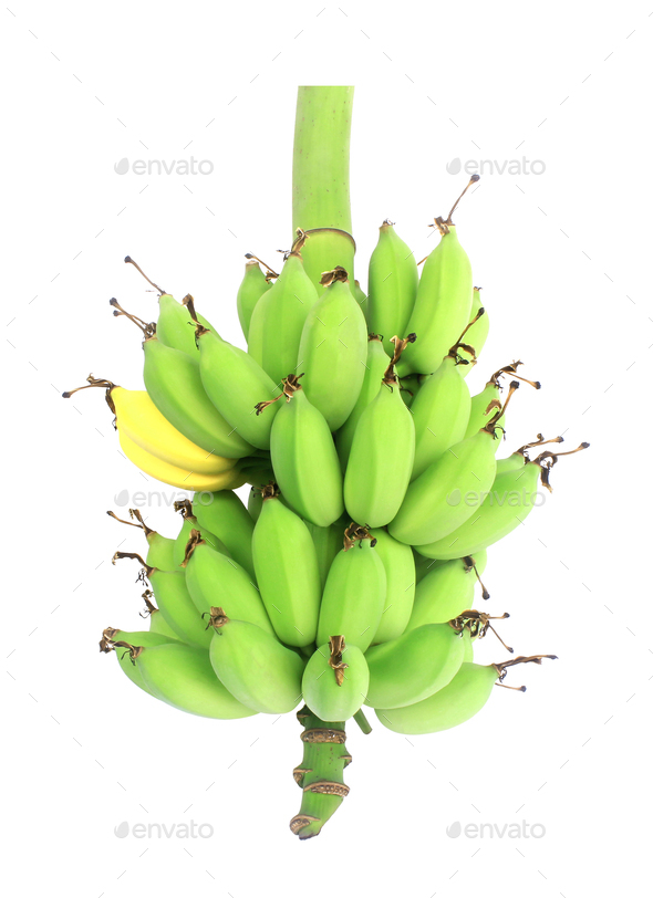 Banana bunch isolated on white background.Ripe bananas bunch iso