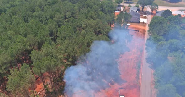 During the Process of Clearing Land to Build Houses Trees are Uprooted and Deforestation Occurs alt