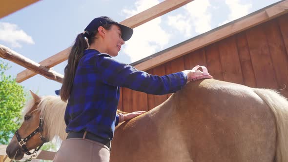 Young Girl Brushing Off Dust From Her Beautiful Brown Horse With Blond Mane alt