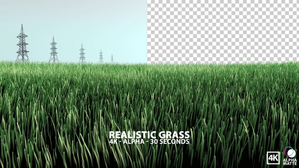 Realistic Green Grass Swaying In The Wind with Alpha