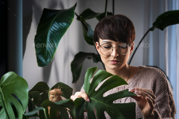 Woman taking care treatments on plants in the home jungle