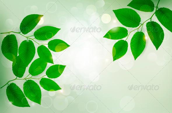 Nature Background with Green Fresh Leaves - Flowers & Plants Nature