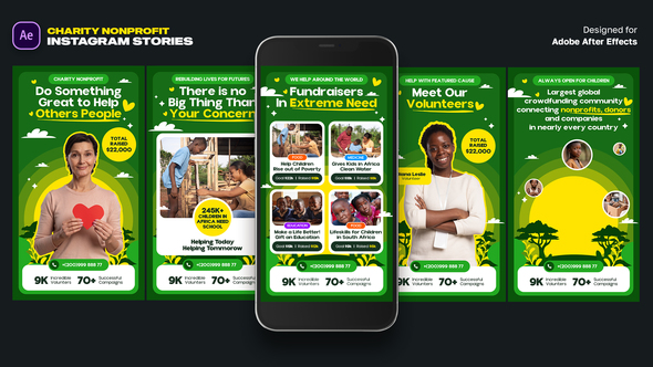 Charity Nonprofit Instagram Stories Product Promo template preview