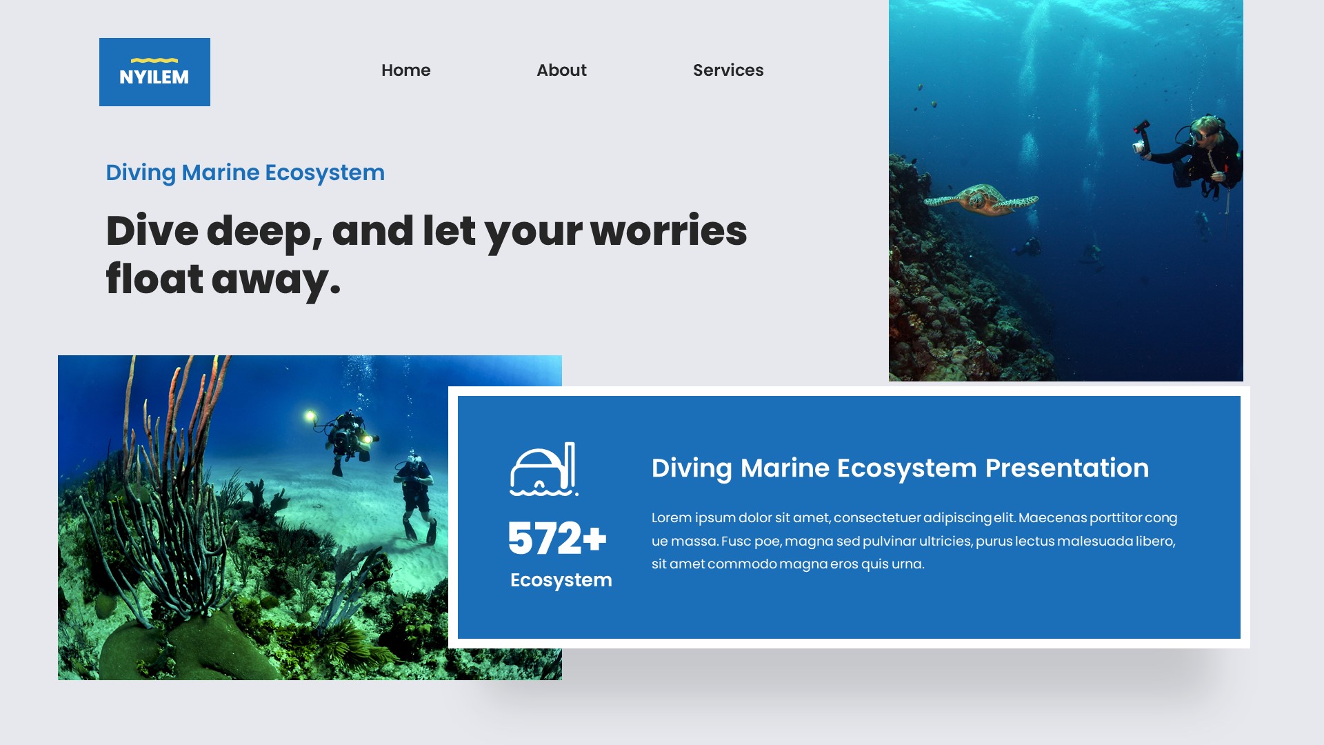 Nyilem - Diving Marine Ecosystem Google Slides Template, Presentation ...