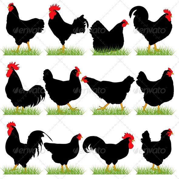12 Roosters and Hans Silhouettes Set - Animals Characters