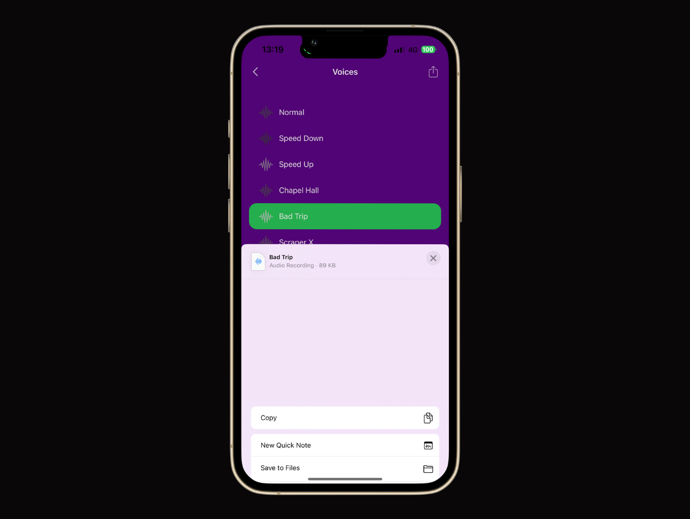 Voice Changer & Effects iOS Swift by byserhat CodeCanyon