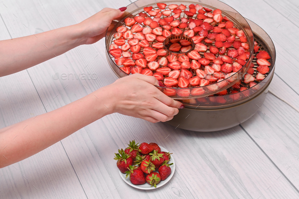 a tray from a dehydrator machine in a woman's hand with strawberry