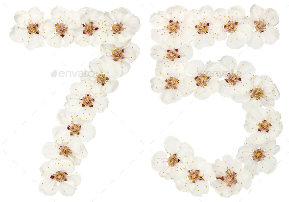 Numeral 75, seventy five, from natural white flowers of apricot tree, isolated on white background