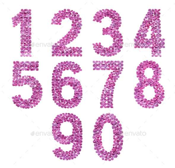 Set of arabic numbers, natural flowers of lilac, isolated on white background