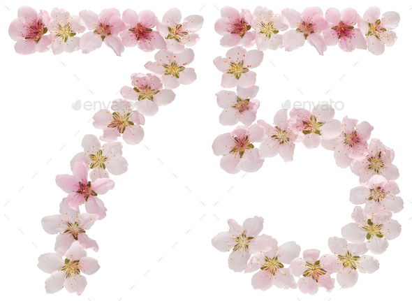 Numeral 75, seventy five, from natural pink flowers of peach tree, isolated on white background
