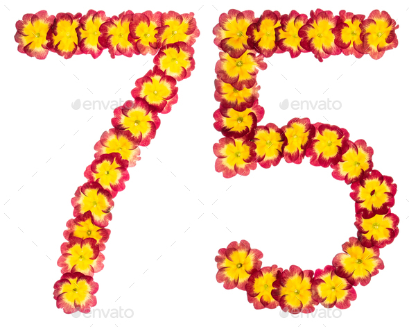 Numeral 75, seventy five, from natural flowers of primula, isolated on white background