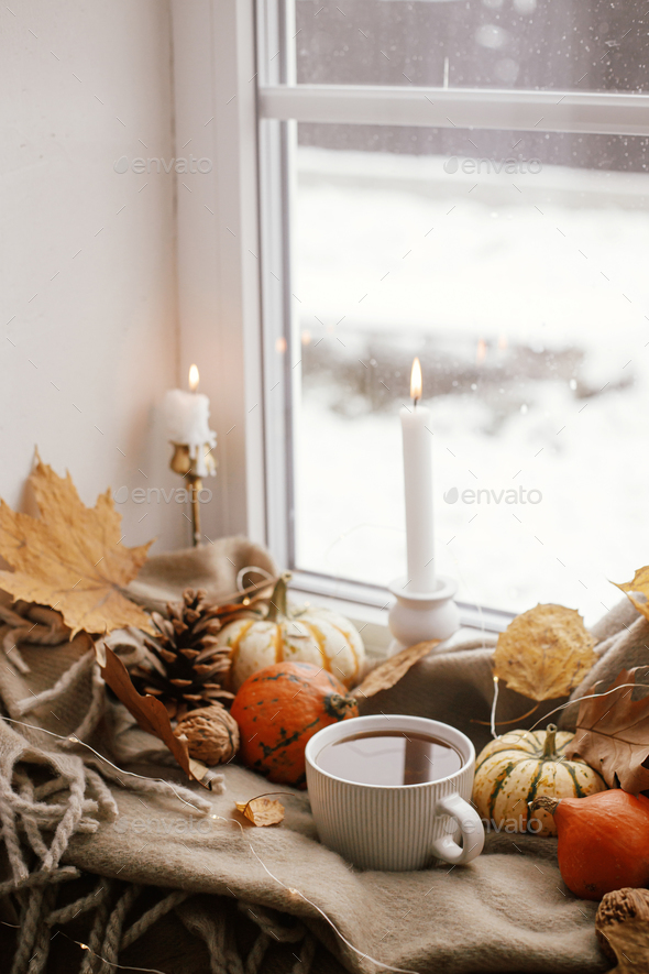 Warm cup of tea, pumpkins, fall leaves, candle, lights