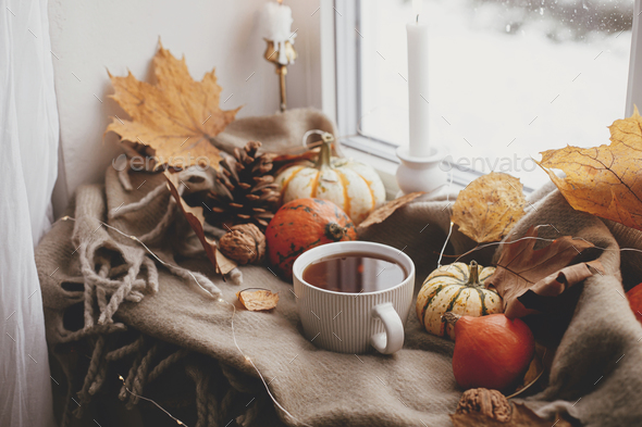 Warm cup of tea, pumpkins, fall leaves, candle, lights on cozy scarf on windowsill