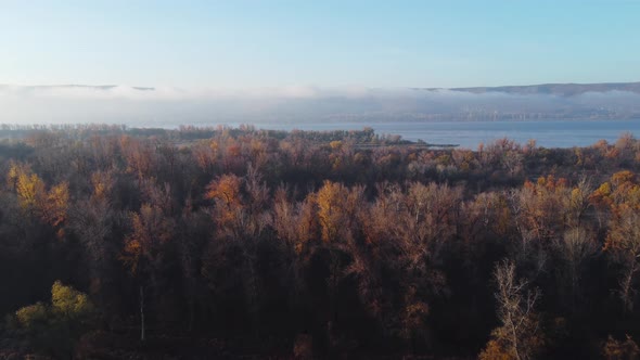 Aerial view of a forest area along the banks of the Volga River. alt