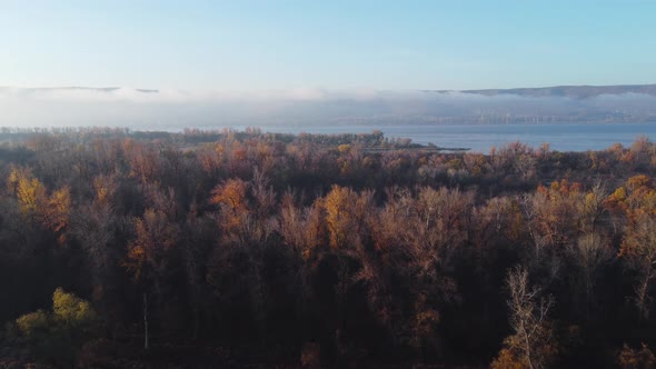 Aerial view of a forest area along the banks of the Volga River.