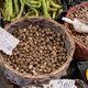 Fresh snails sold a local Italian market in Sicily - PhotoDune Item for Sale