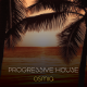 Electronic Progressive House