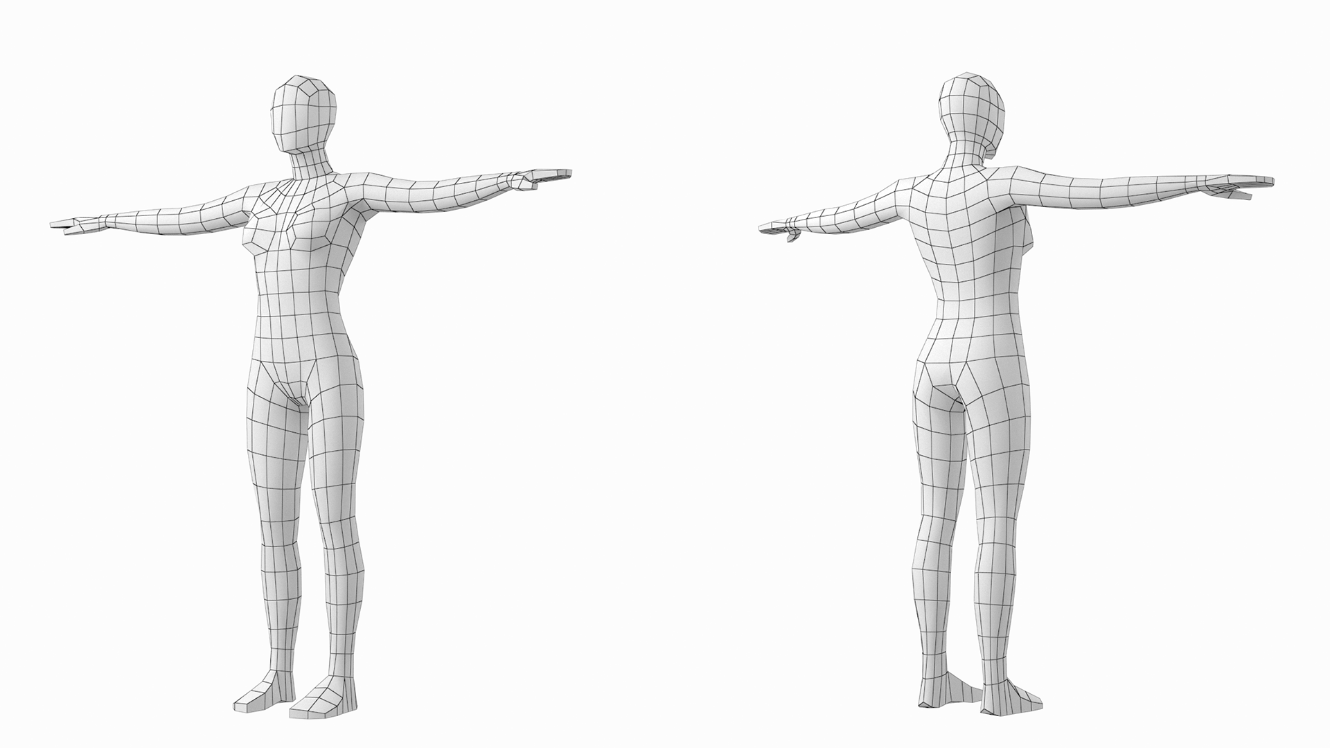 T-pose, Pose reference, Anatomy reference