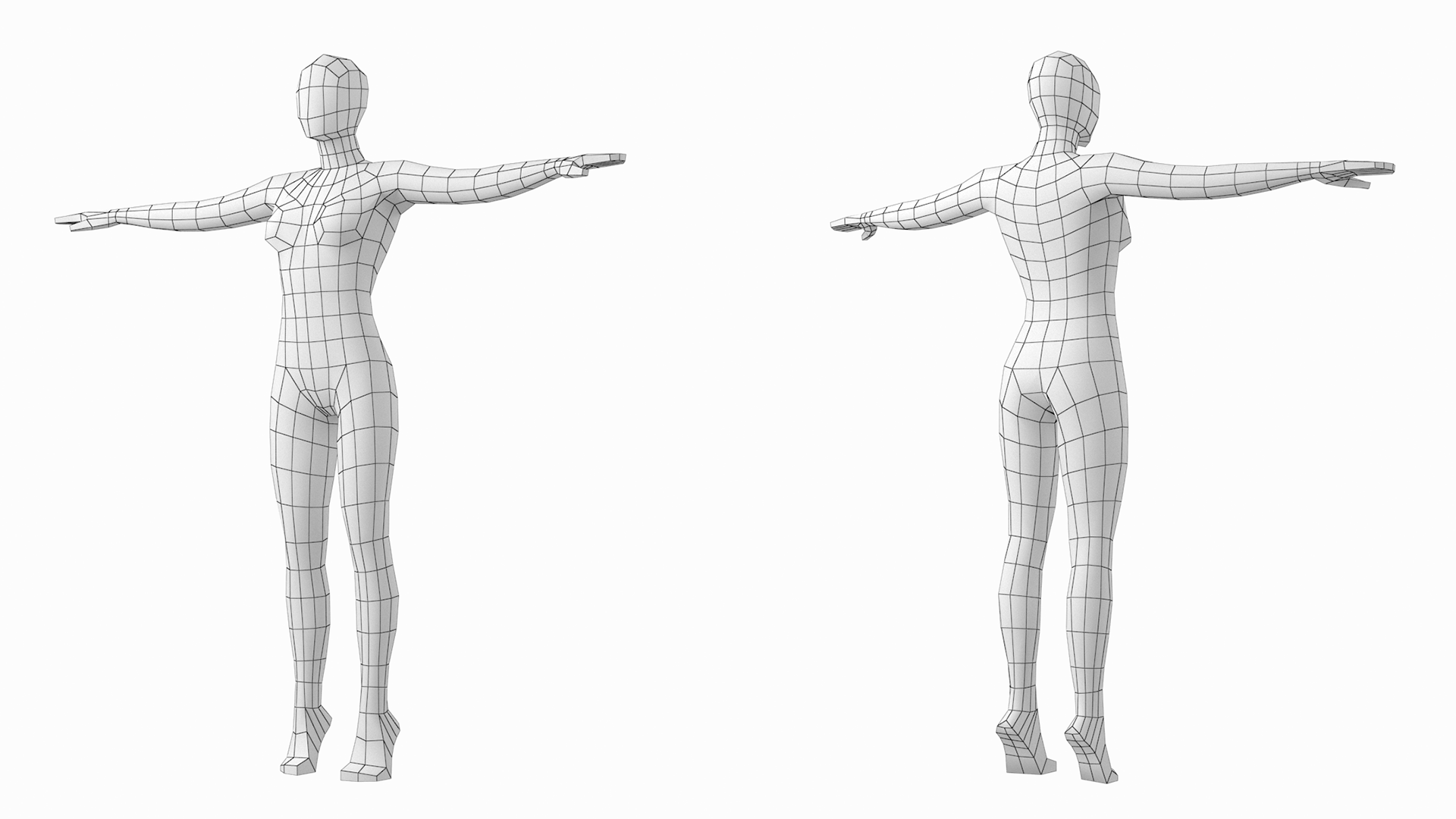 Natural Female 01 T-Pose Base Mesh  3D Characters & People ~ Creative  Market