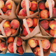 Peaches at the Farmers Market - PhotoDune Item for Sale