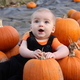Adorable baby at pick your own pumpkin patch - PhotoDune Item for Sale
