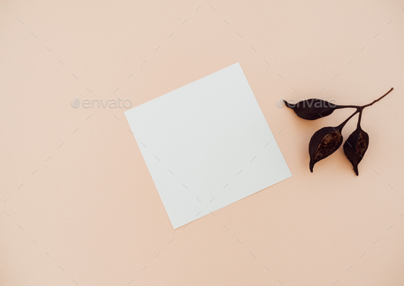 White blank paper square card mockup and dry brown branch on beige background.