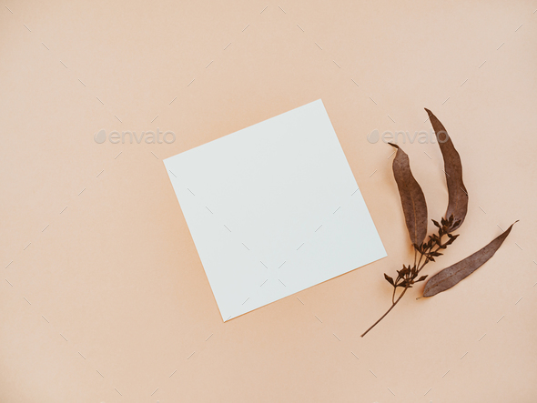 White blank paper square card mockup and dry eucalyptus leaves on beige background