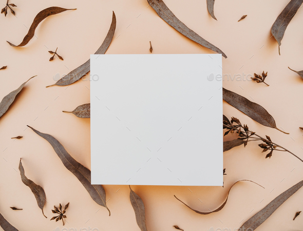 White blank paper square card mockup and dry eucalyptus leaves on beige background.