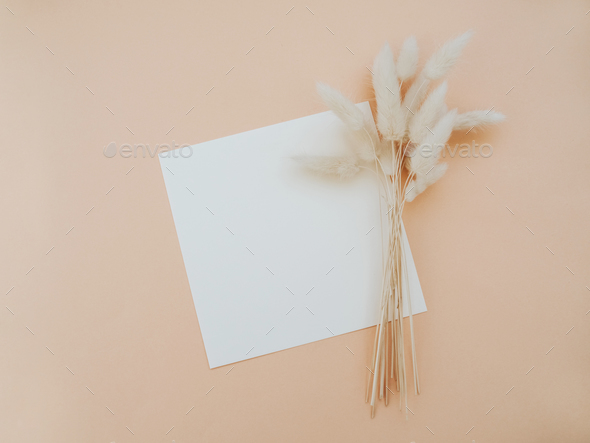 White blank paper square card mockup and dry floral branch on beige background.
