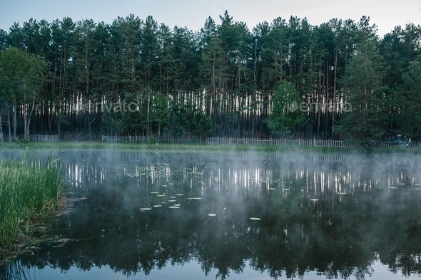 Fog, grass, trees against the backdrop of lakes and nature