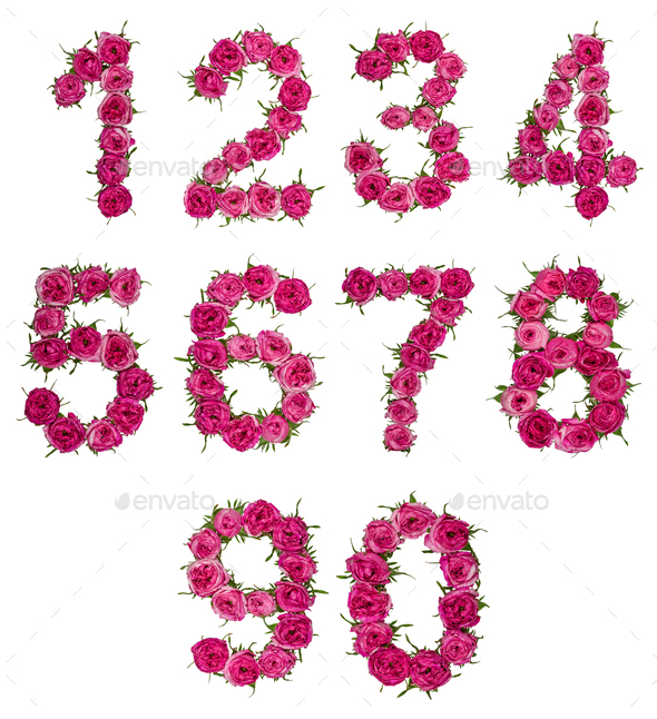 Set of arabic numbers from natural red flowers of roses, isolated on white