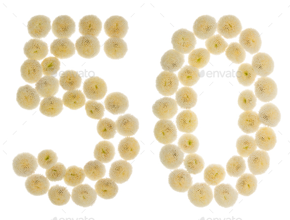 Arabic numeral 50, fifty, from cream flowers of chrysanthemum, isolated ...