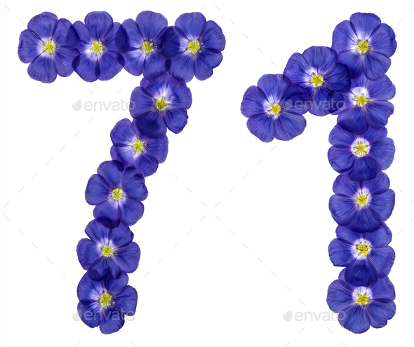 Arabic numeral 71, seventy one, from blue flowers of flax, isolated on white background