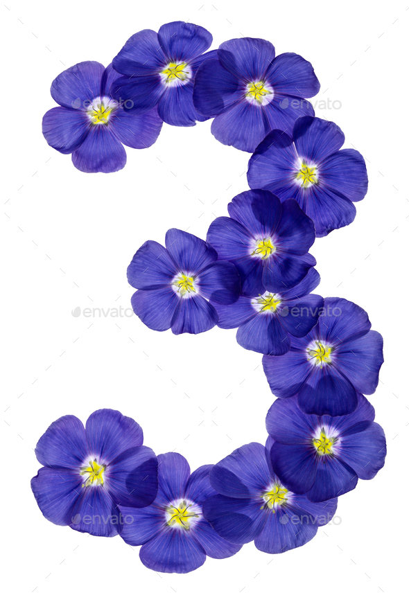 Arabic numeral 3, three, from blue flowers of flax, isolated on white