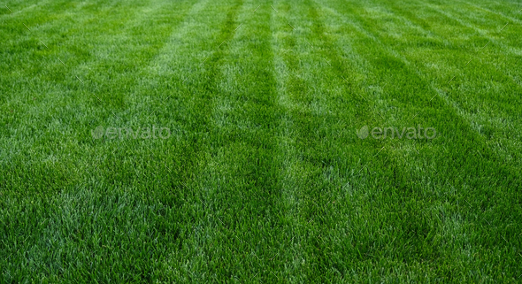 Artificial Grass Field Top View Texture Stock Photo