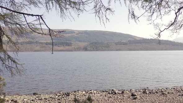 Pebbled Shores of a Lake With Forest Fly Through alt