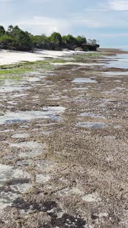 Tanzania  Vertical Video of Low Tide in the Ocean Near the Coast of Zanzibar Slow Motion alt