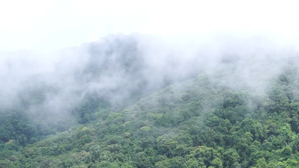 Cloudy mountains, rainforest landscape,Green forest in the fog