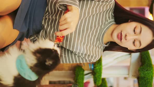 Happy cat playing with her owner at home.Attractive young woman feeding her cat  at cafe.